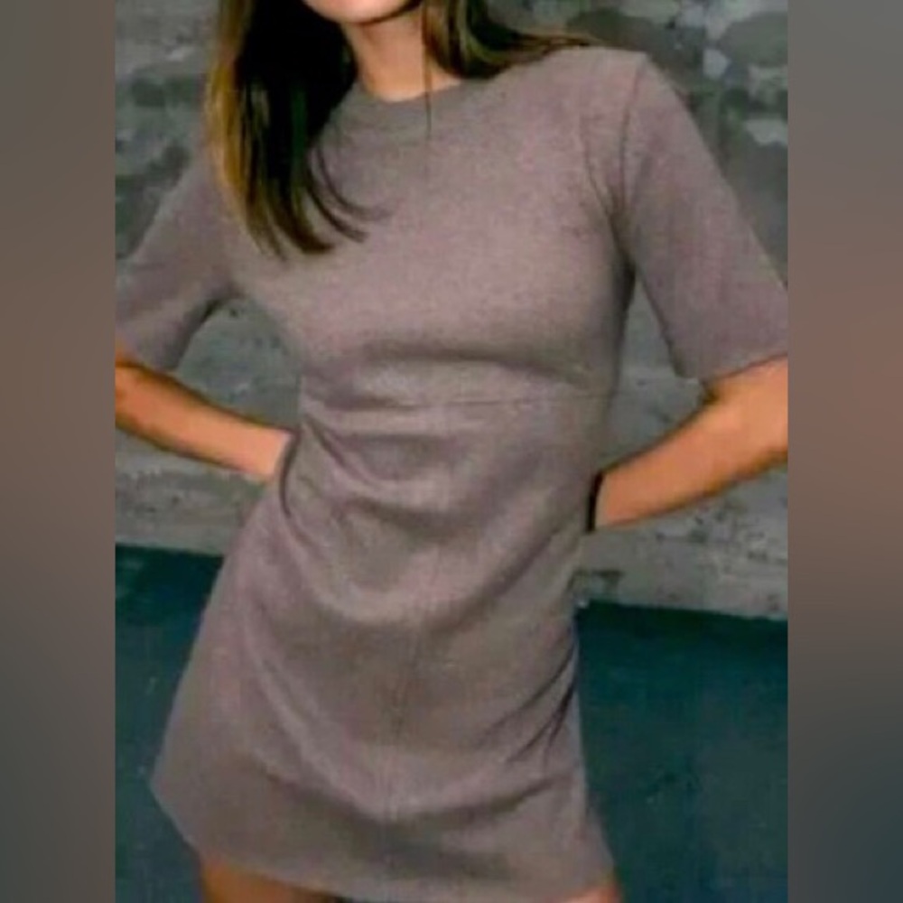 Zara Knit Short Sleeve Sweater Dress Medium Brown Fall Cozy Stretch Office